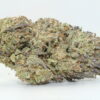 Governmint Oasis THCA Hemp Flower