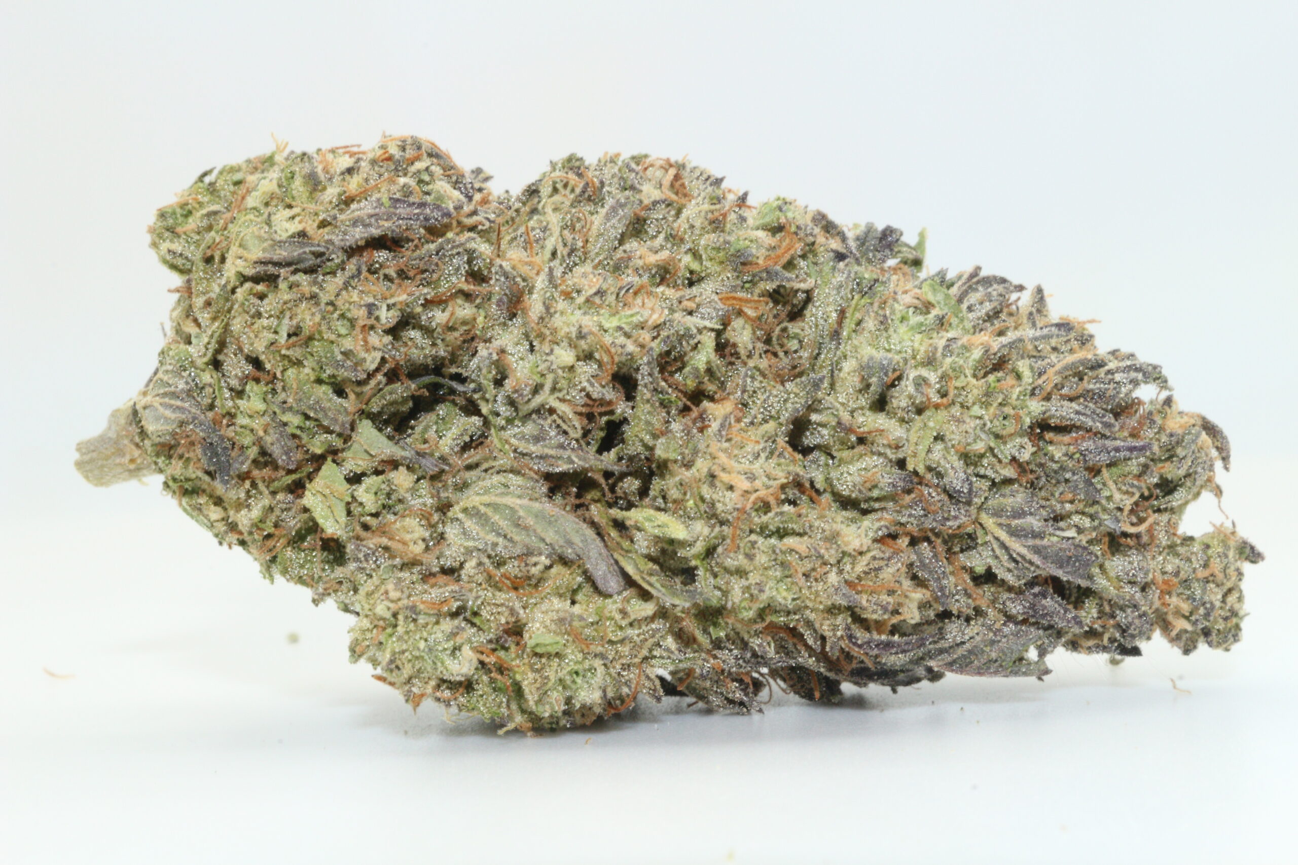 Governmint Oasis THCA Hemp Flower