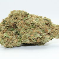 Lucky Charm THCA Hemp Flower