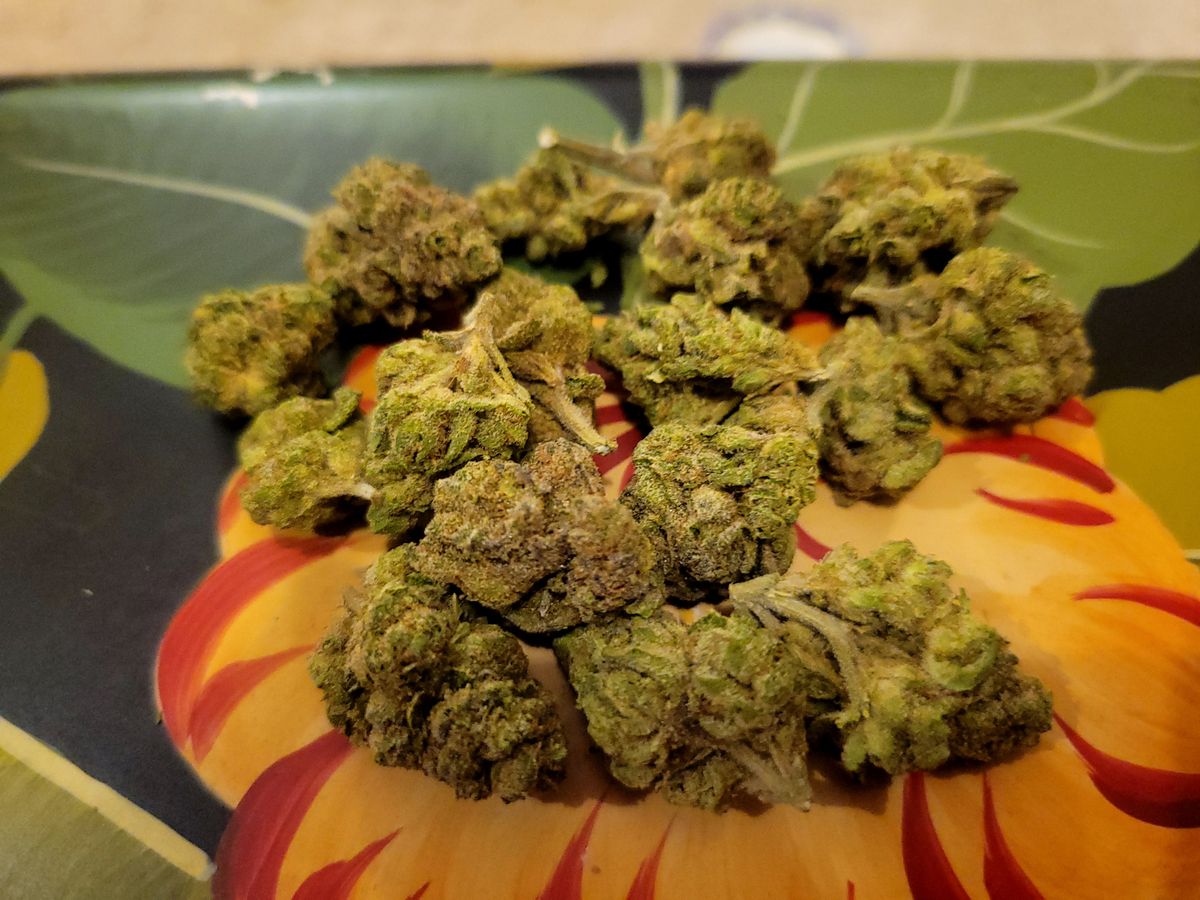 Image #1 from Dr.Ganja Customer