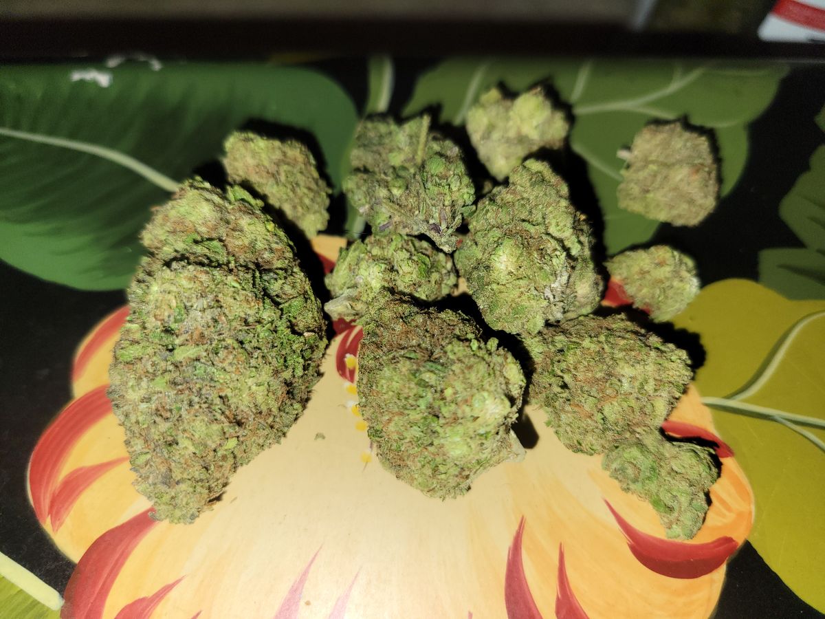 Image #1 from Dr.Ganja Customer