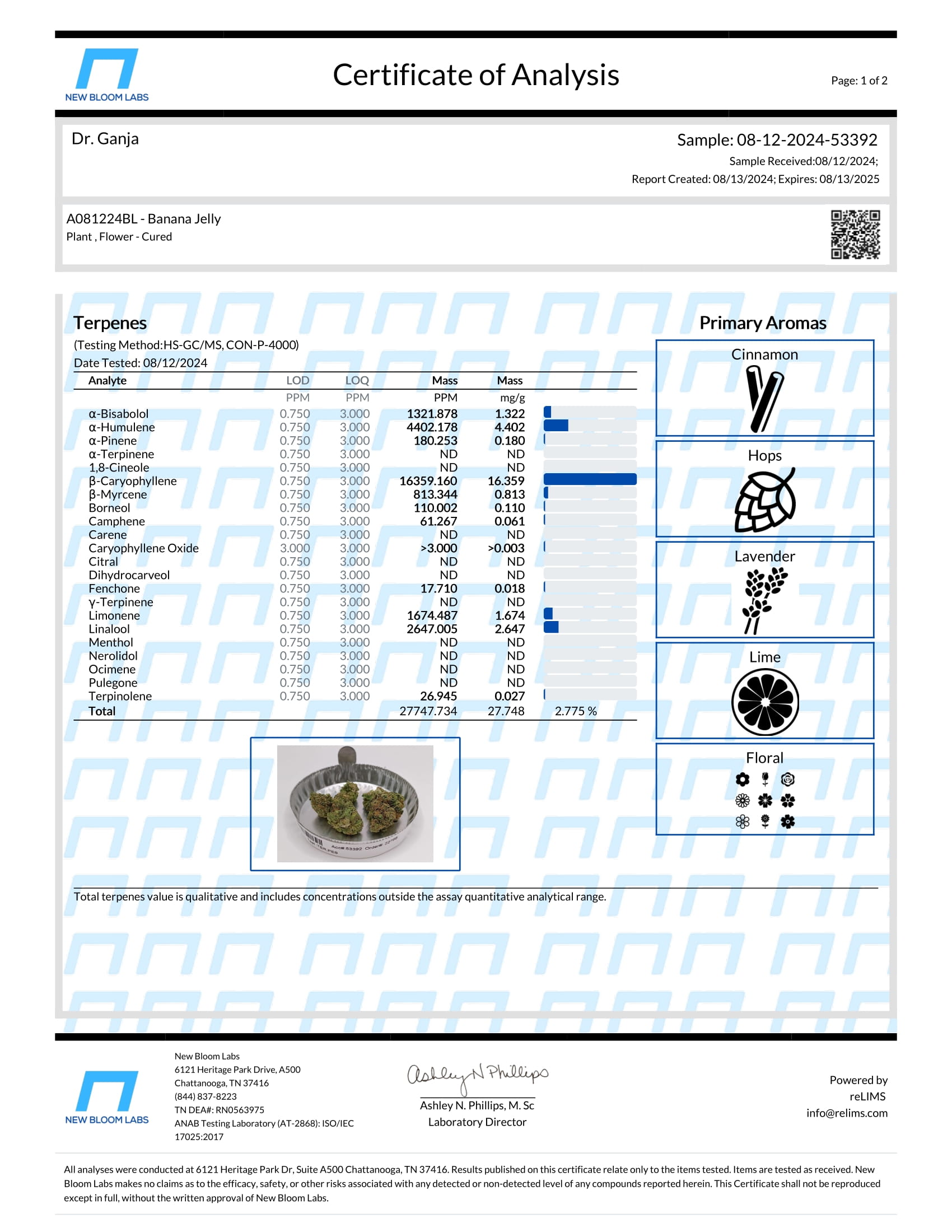 Banana Jelly Terpenes Certificate of Analysis