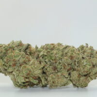 Glitter Bomb THCA Hemp Flower