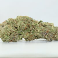 Glitter Bomb THCA Hemp Flower