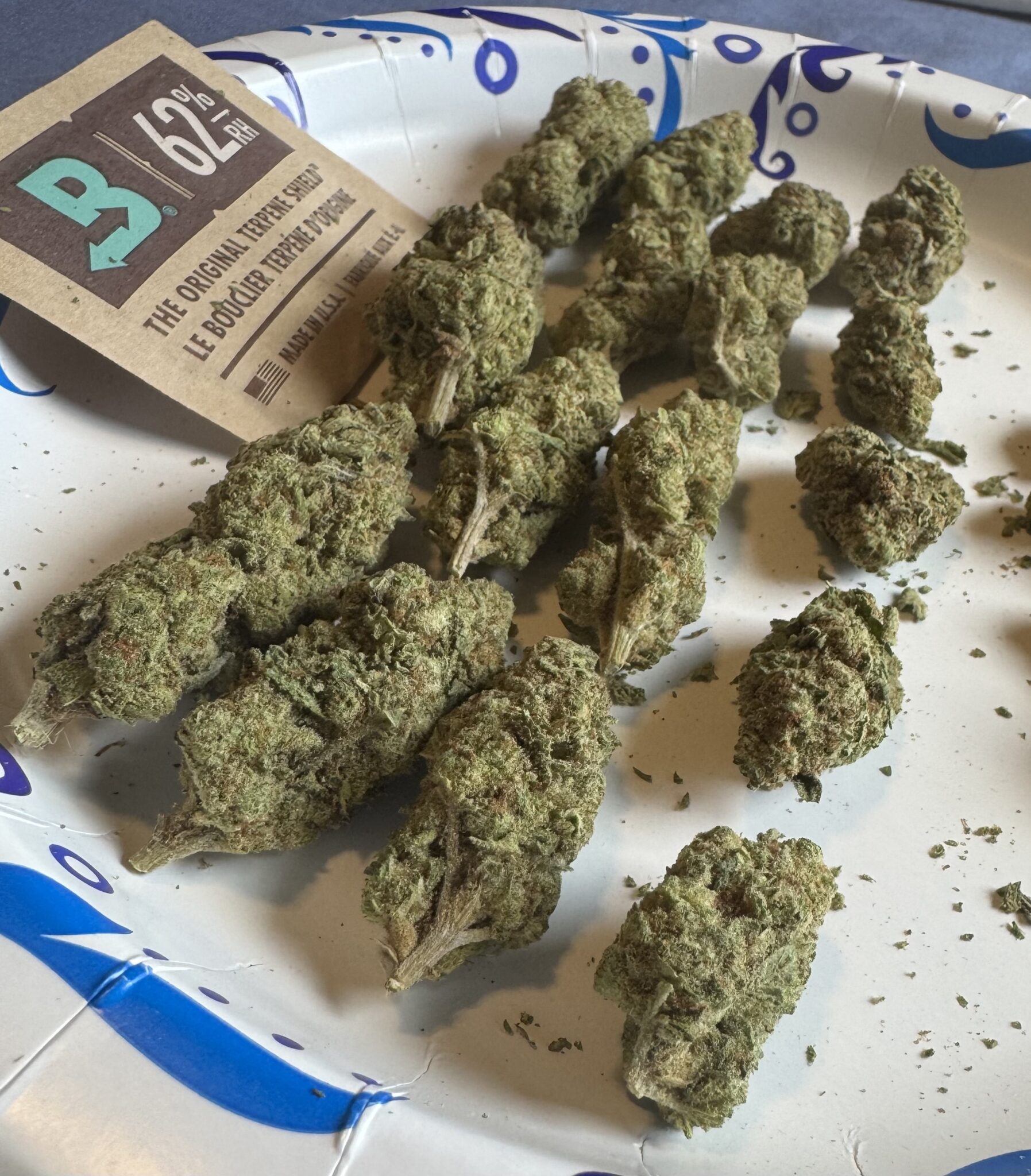 Image #3 from Blake Griffin