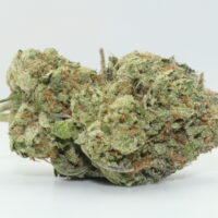 Lemon Cherry Gelato