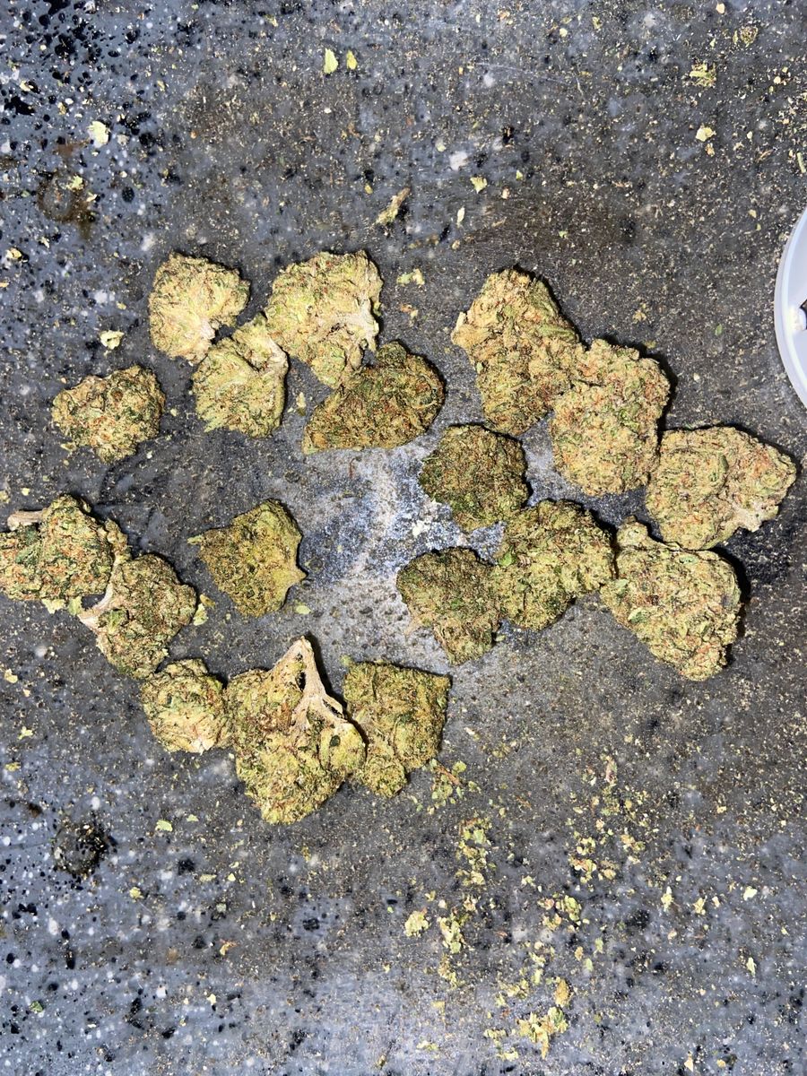 Image #1 from Dr.Ganja Customer
