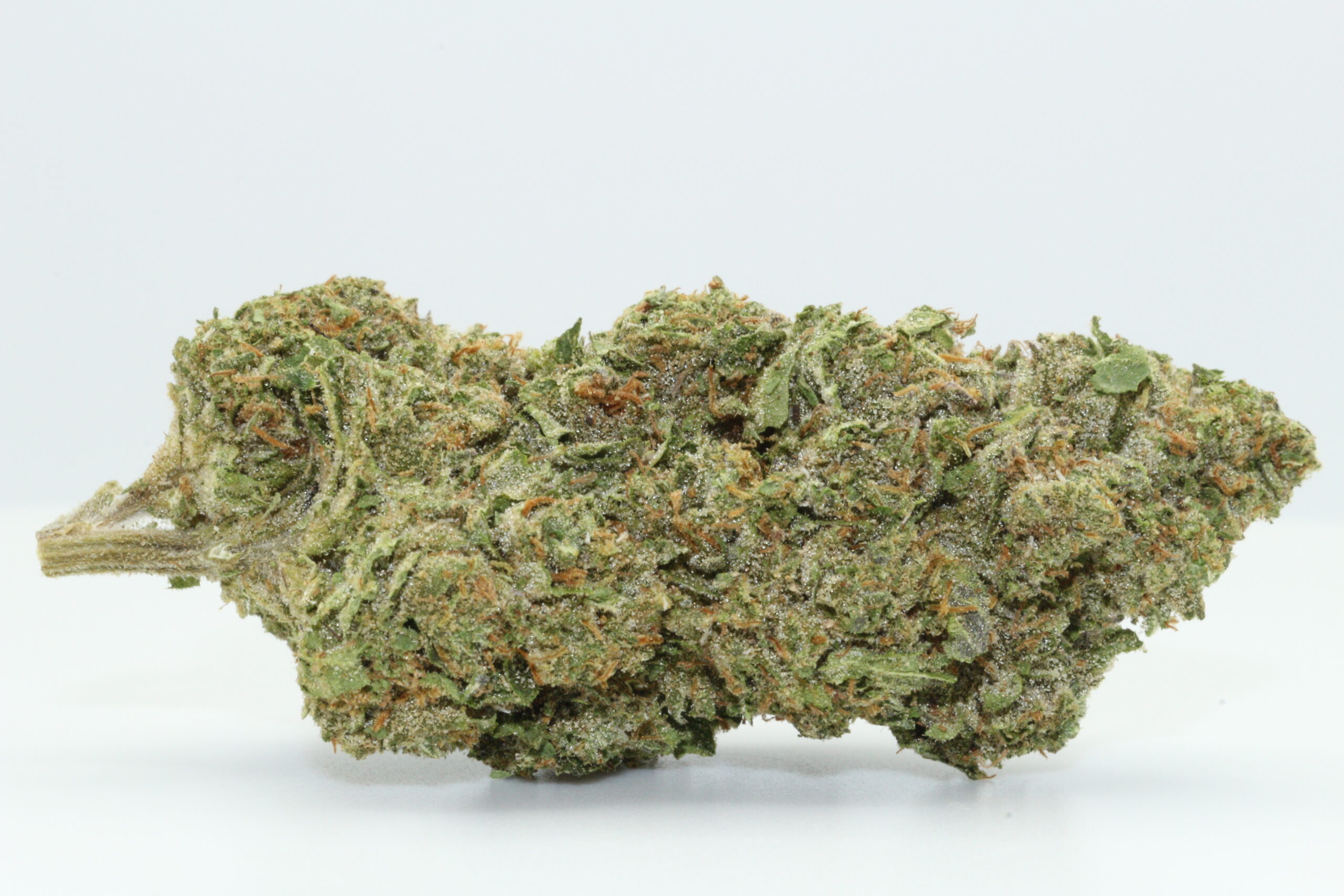 Forbidden Candy THCA Hemp Flower Forbidden Candy THCA Hemp Flower