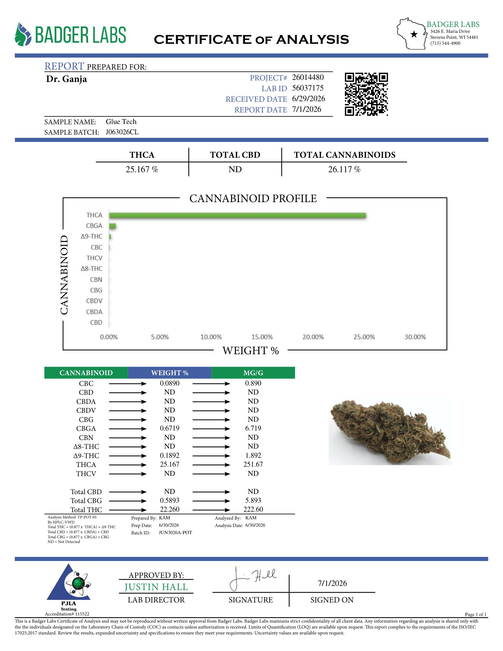 Glue Tech Cannabinoids Certificate of Analysis
