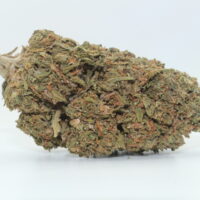 Glue Tech THCA Hemp Flower