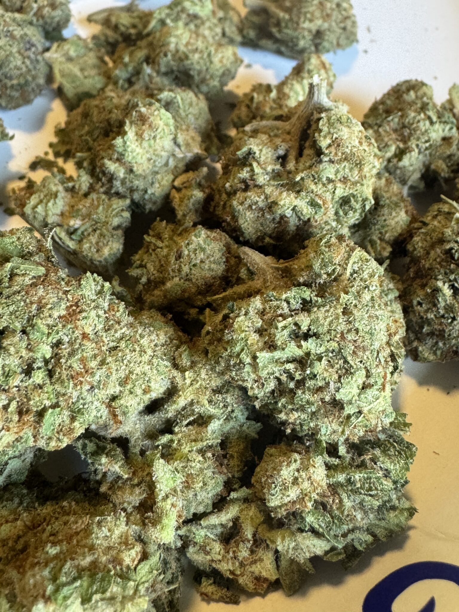 Image #3 from Blake Griffin