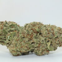 Illuminati OG THCA Hemp Flower