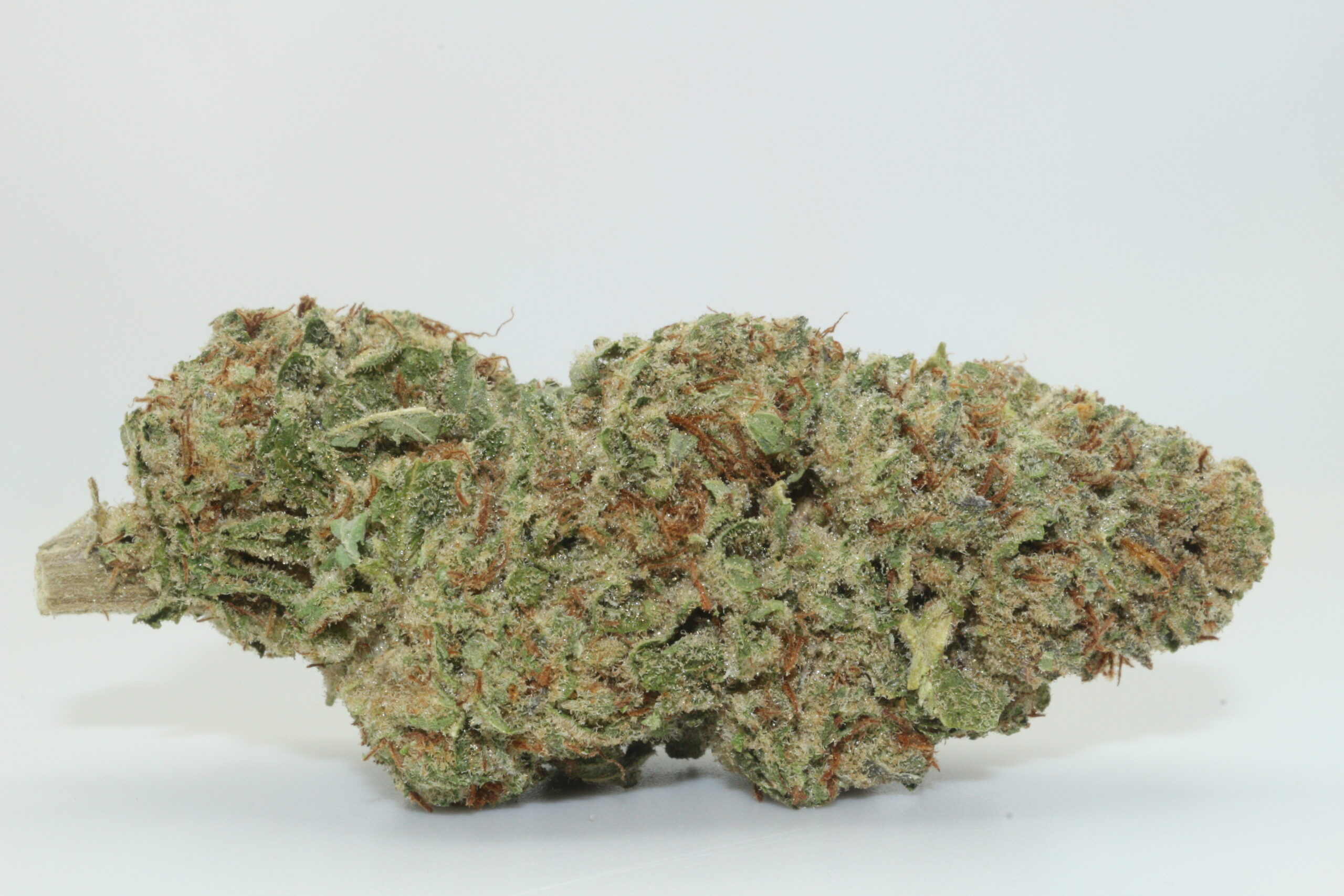 Illuminati OG THCA Hemp Flower Illuminati OG THCA Hemp Flower