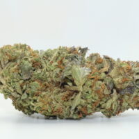 Sour Animal THCA Hemp Flower