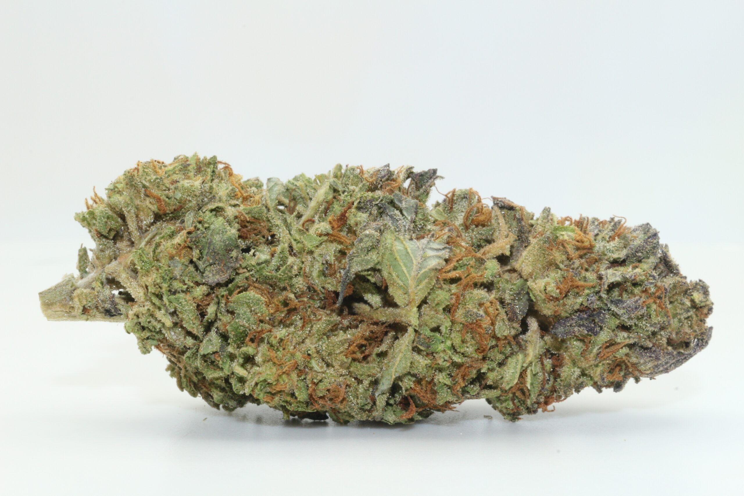 Sour Animal THCA Hemp Flower Sour Animal THCA Hemp Flower