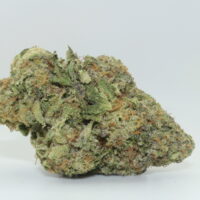 Cherry Ghost THCA Hemp Flower