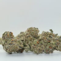 El Chivo THCA Hemp Flower