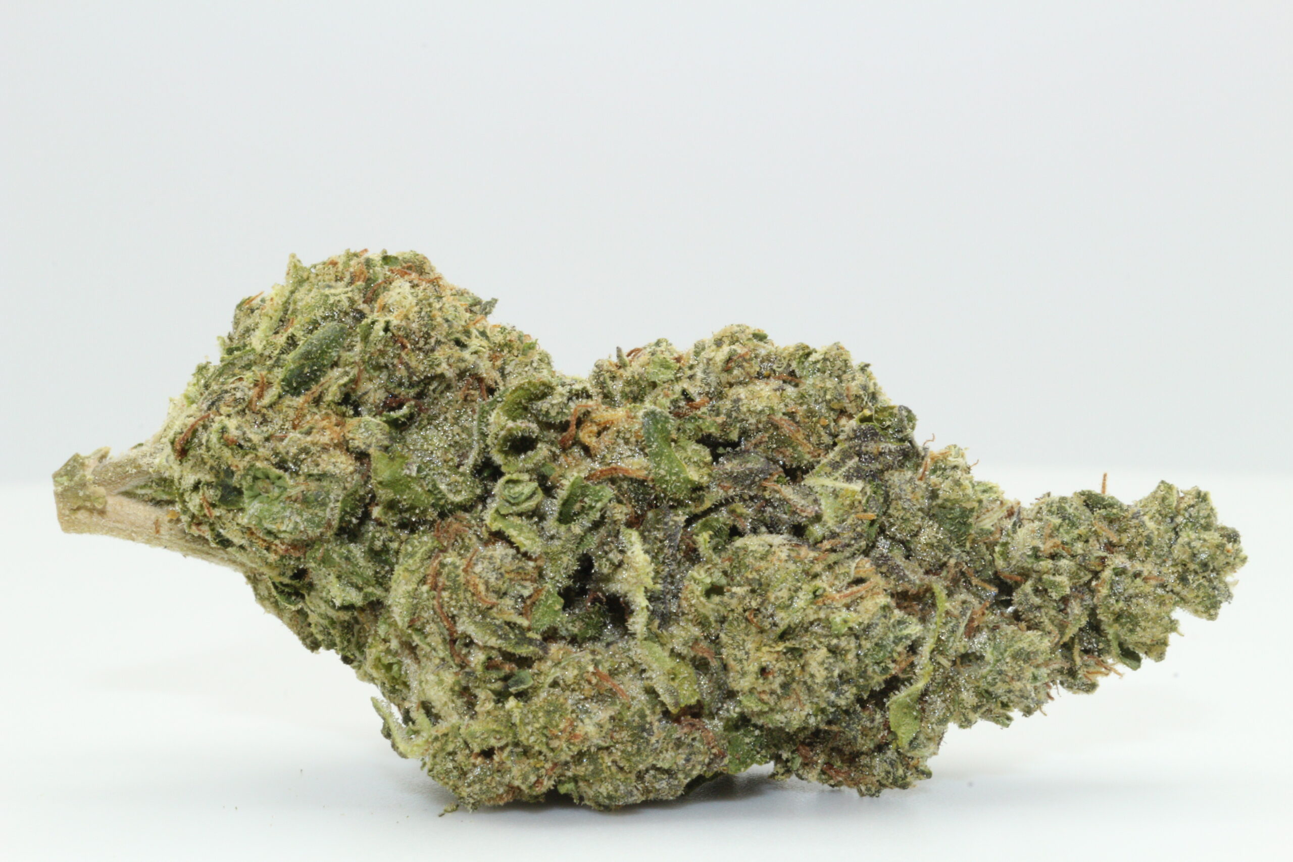 Trophy Wife THCA Hemp Flower Trophy Wife THCA Hemp Flower