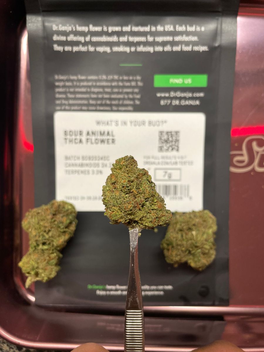 Image #1 from Dr.Ganja Customer