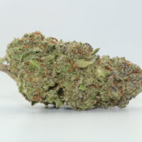 Blueberry Headband THCA Hemp Flower