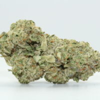 Blueberry Headband