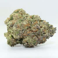 Tropical Runtz THCA Hemp Flower