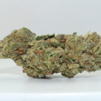 Tropical Runtz