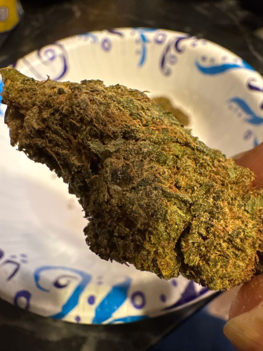 Image #1 from Terry Johnson