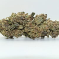 Black Maple THCA Hemp Flower