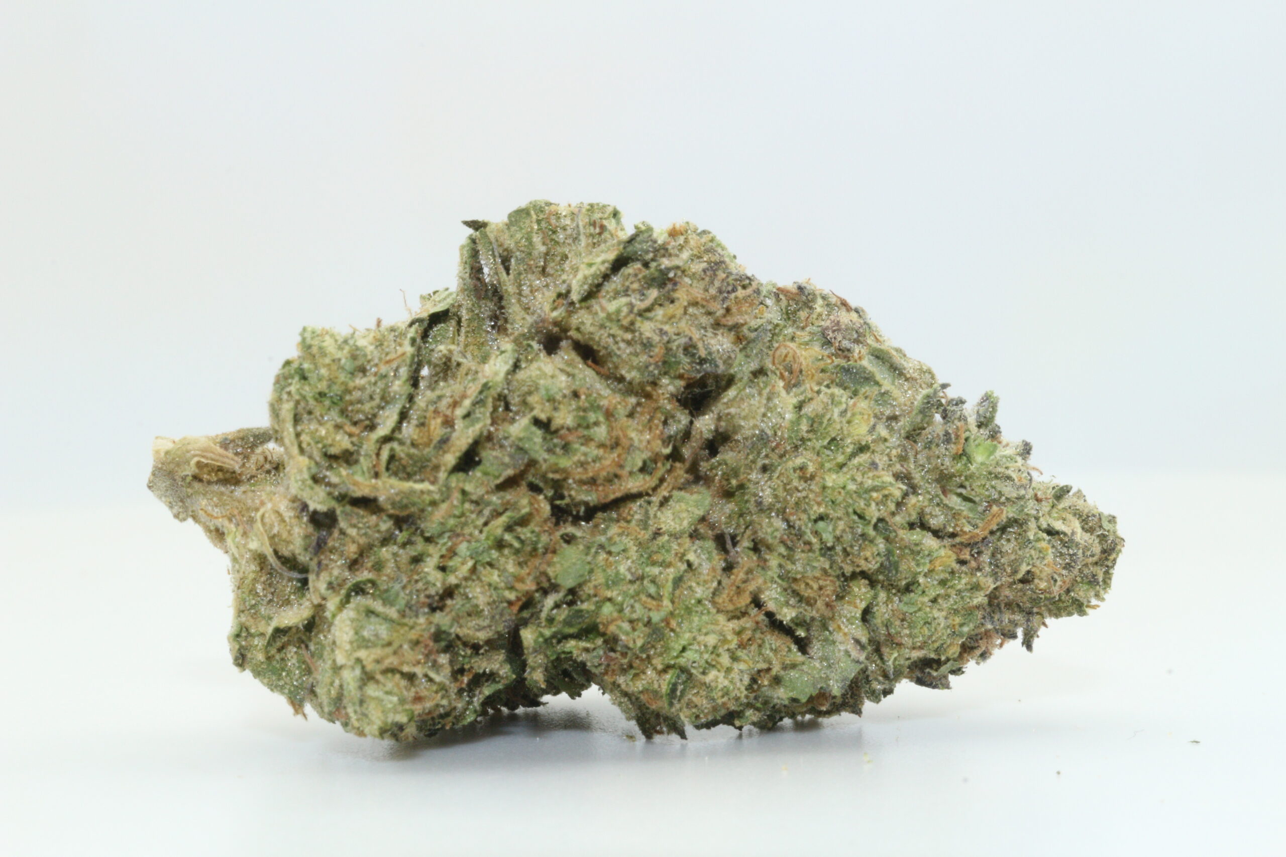 Black Maple THCA Hemp Flower Black Maple THCA Hemp Flower