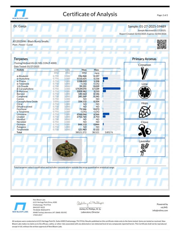 Black Runtz Smalls Terpenes Certificate of Analysis