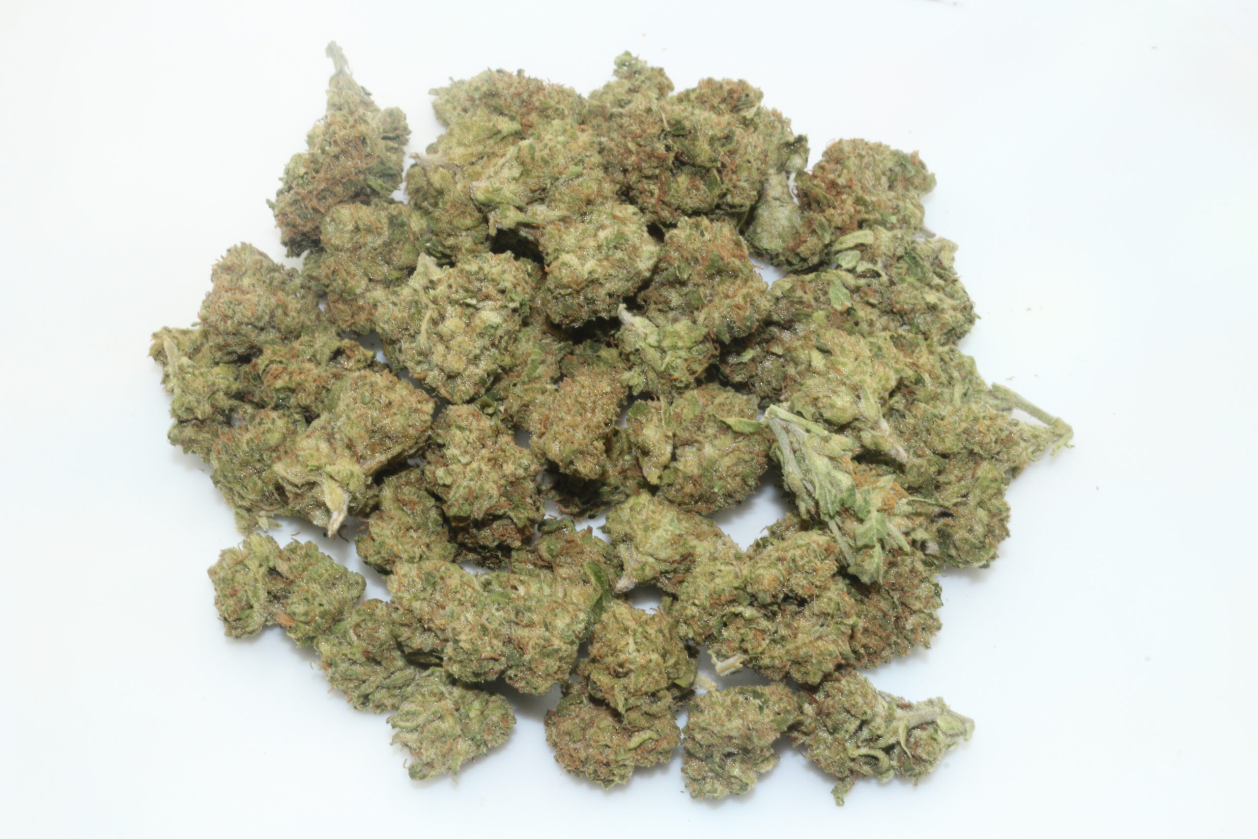 Canal St. Runtz THCA Hemp Flower Smalls Canal St. Runtz THCA Hemp Flower Smalls
