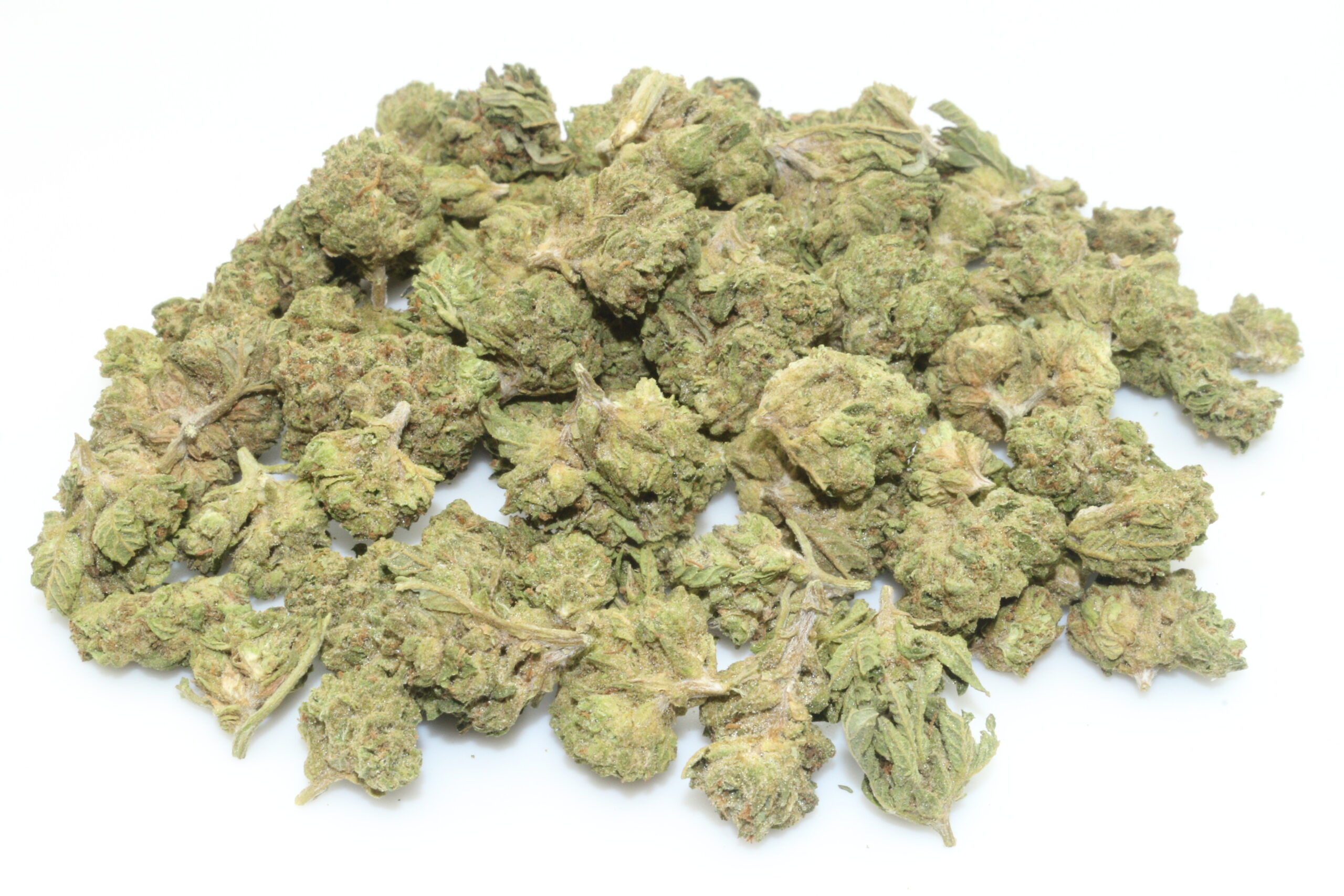 Coconut Cream THCA Hemp Flower Smalls Coconut Cream THCA Hemp Flower Smalls