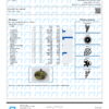 Gorilla Butter Terpenes Certificate of Analysis