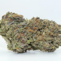 Gorilla Cookies
