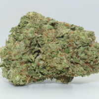 100 Racks THCA Hemp Flower