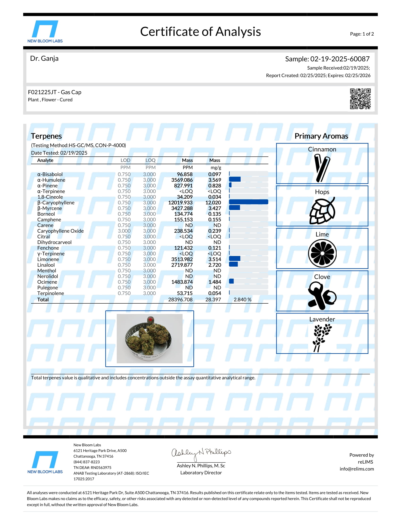 Gas Cap Terpenes Certificate of Analysis