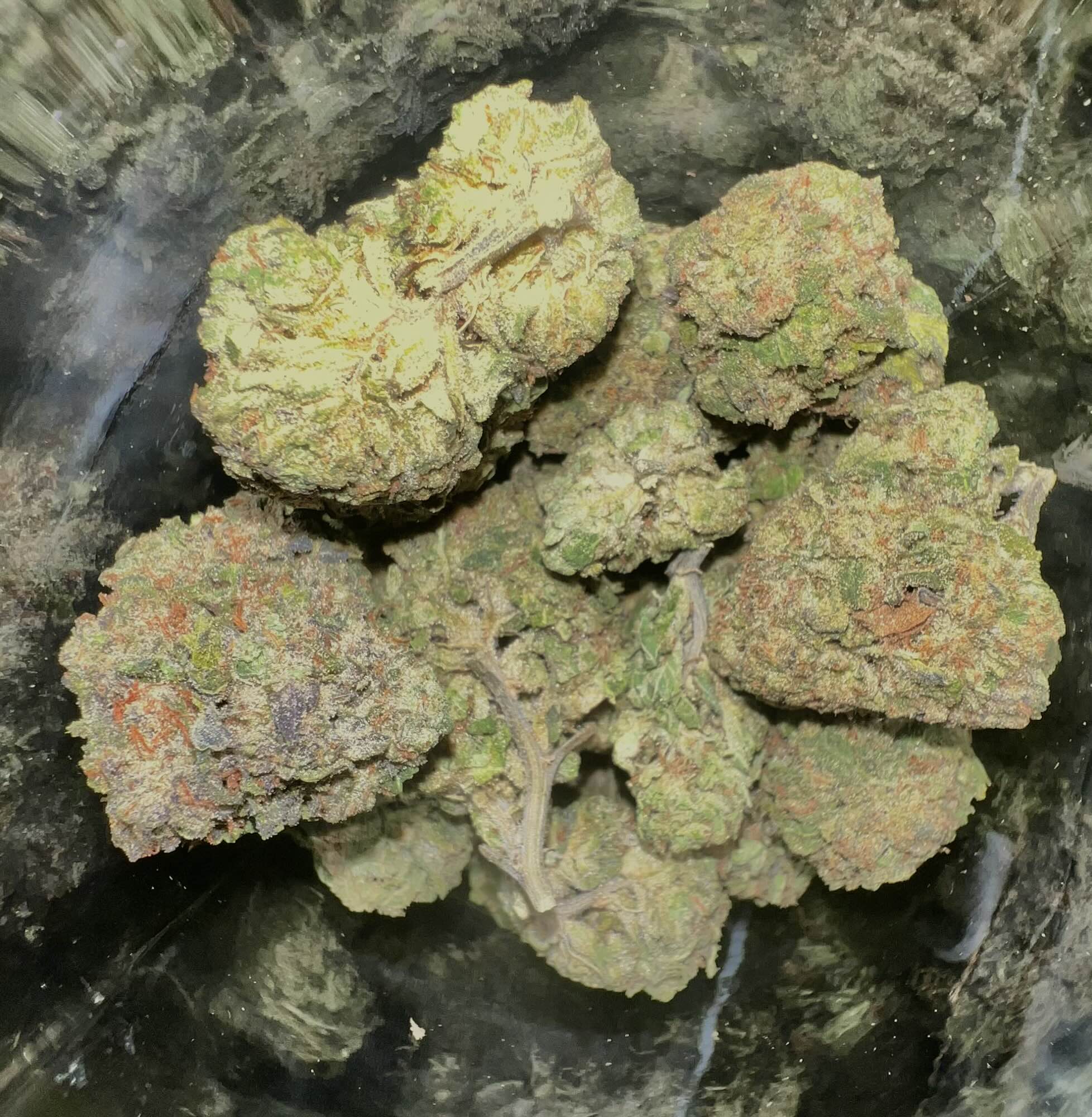 Image #1 from Dr.Ganja Customer