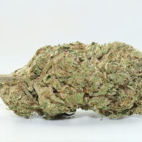 Afghan Kush THCA Hemp Flower