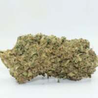 Apple Fritter THCA Hemp Flower