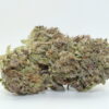Caribbean Cookies THCA Hemp Flower