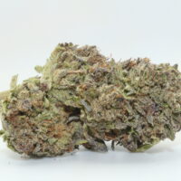 Caribbean Cookies THCA Hemp Flower