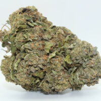 Gelatti THCA Hemp Flower