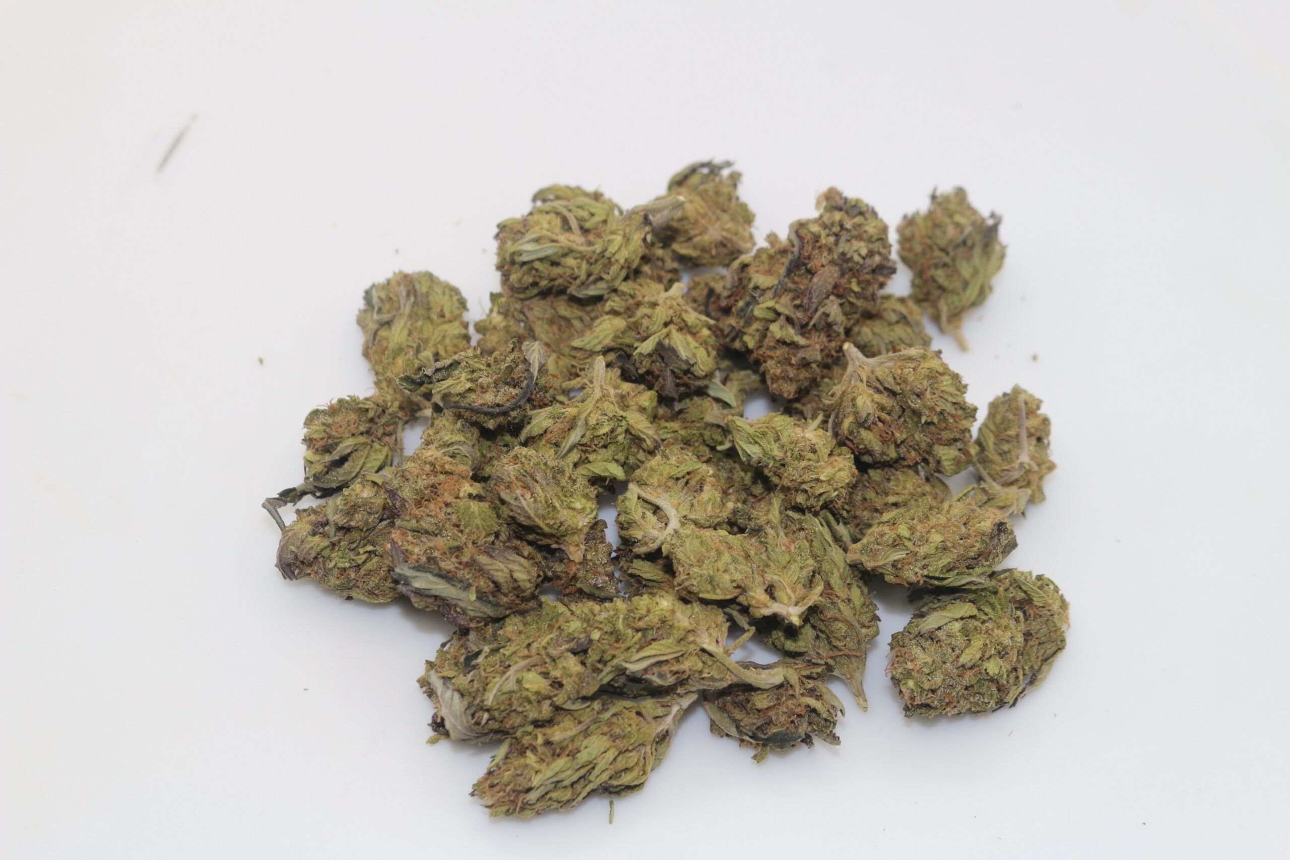 GovernMint Oasis THCA Hemp Flower Smalls