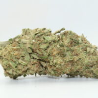 Modified Gas THCA Hemp Flower