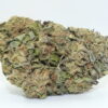 Sugar Biscuit THCA Hemp Flower
