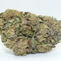 Sugar Biscuit THCA Hemp Flower