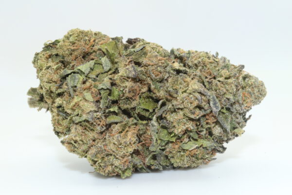Sugar Biscuit THCA Hemp Flower