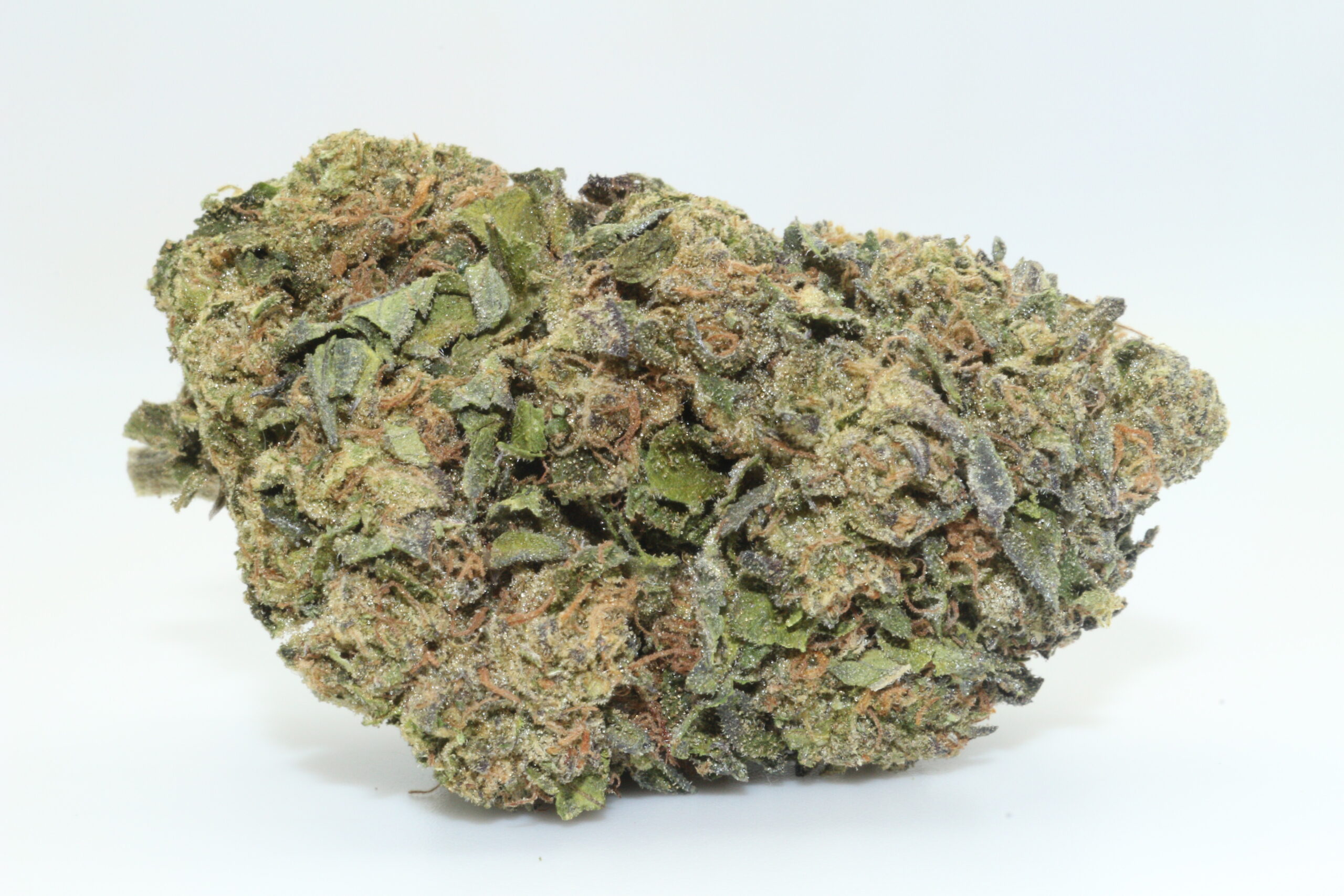 Sugar Biscuit THCA Hemp Flower