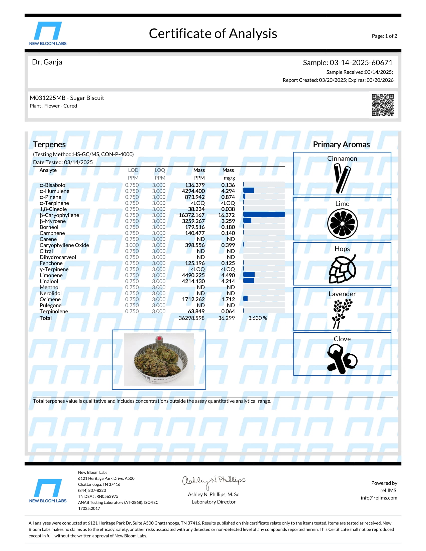 Sugar Biscuit Terpenes Certificate of Analysis
